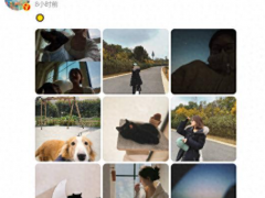 赵露思病后首现身！微博开启公开可见：素颜散步，遛狗逗猫